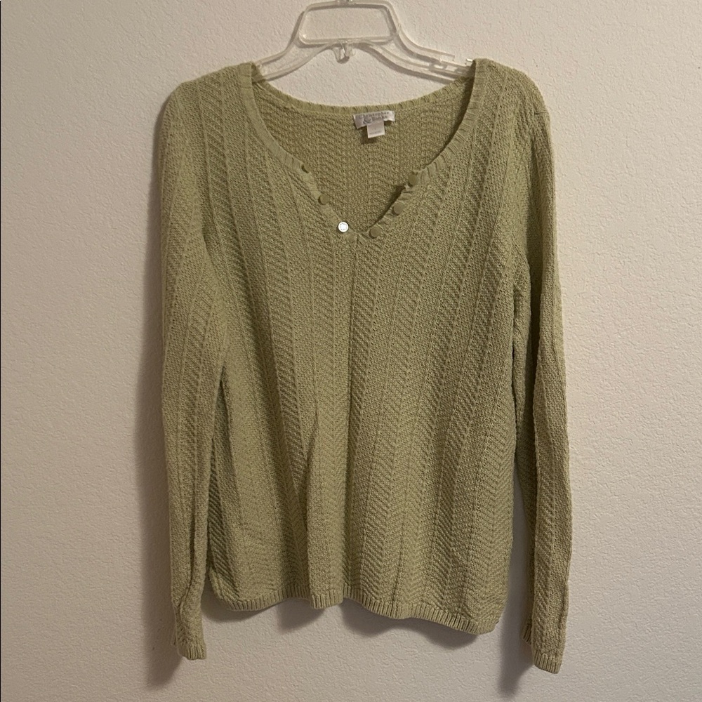 Christopher & Banks Olive V-Neck Sweater